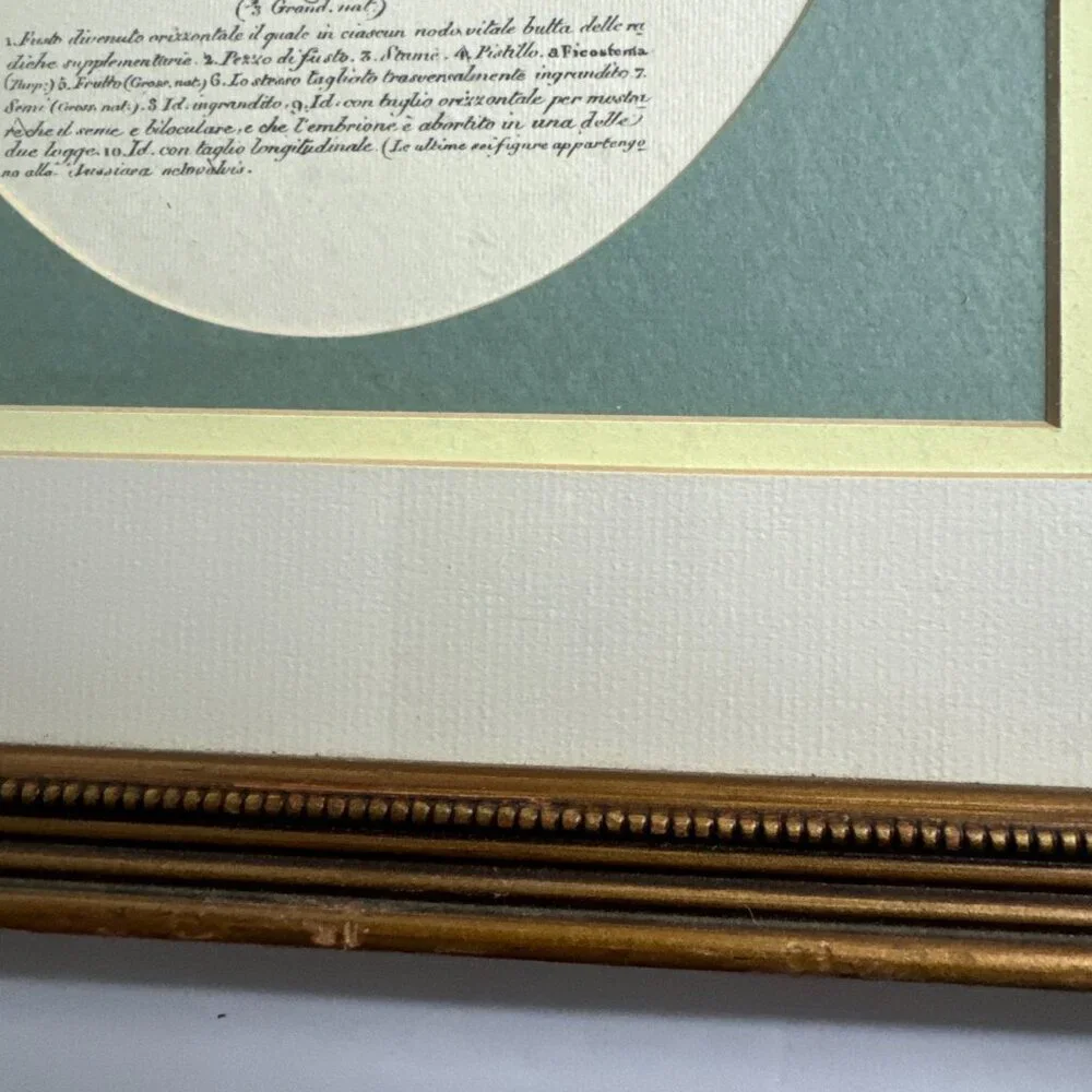 N/A vintage reproduction